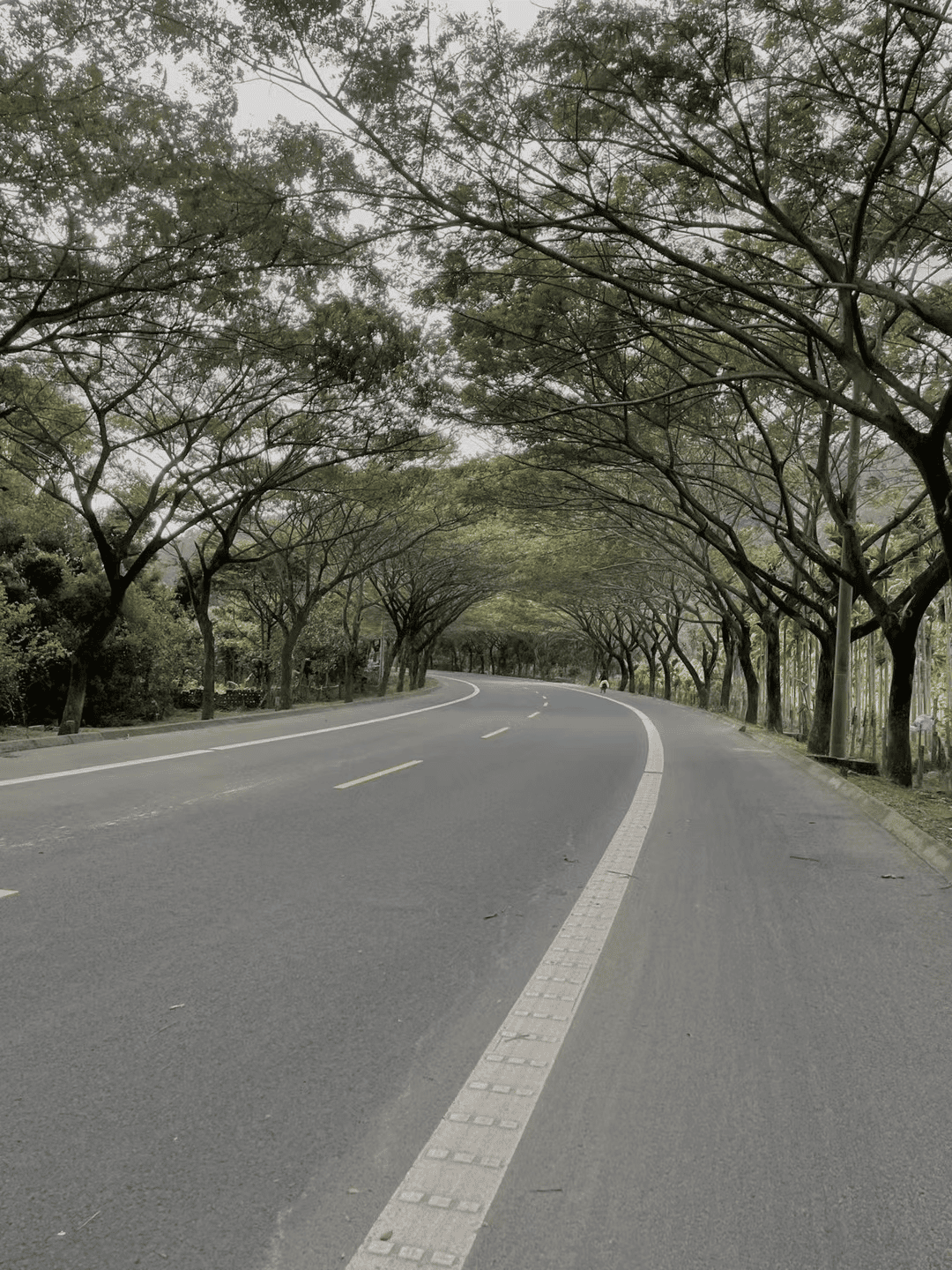 2024-01-21T15:54:15.webp 2024-01-21T15:54:15.webp