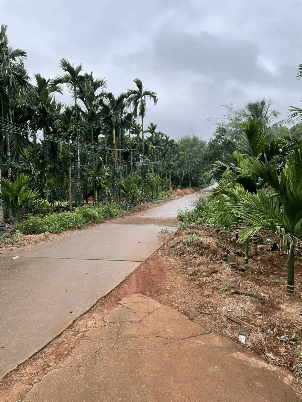 2024-01-21T15:40:53.webp 2024-01-21T15:40:53.webp