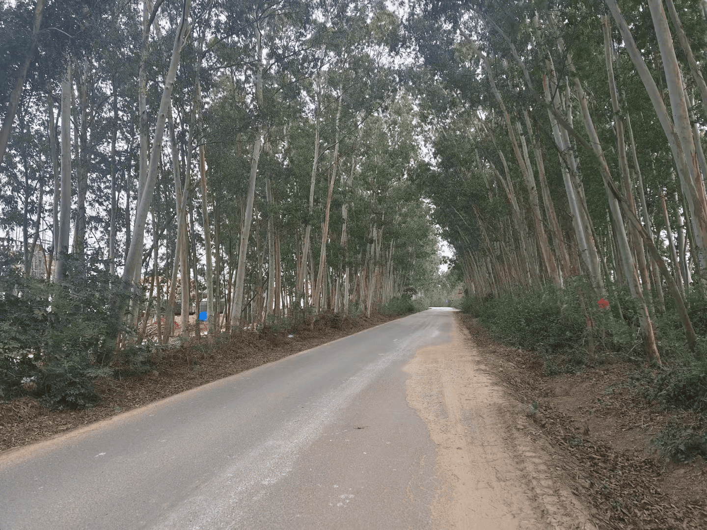 2024-01-21T16:23:37.webp 2024-01-21T16:23:37.webp