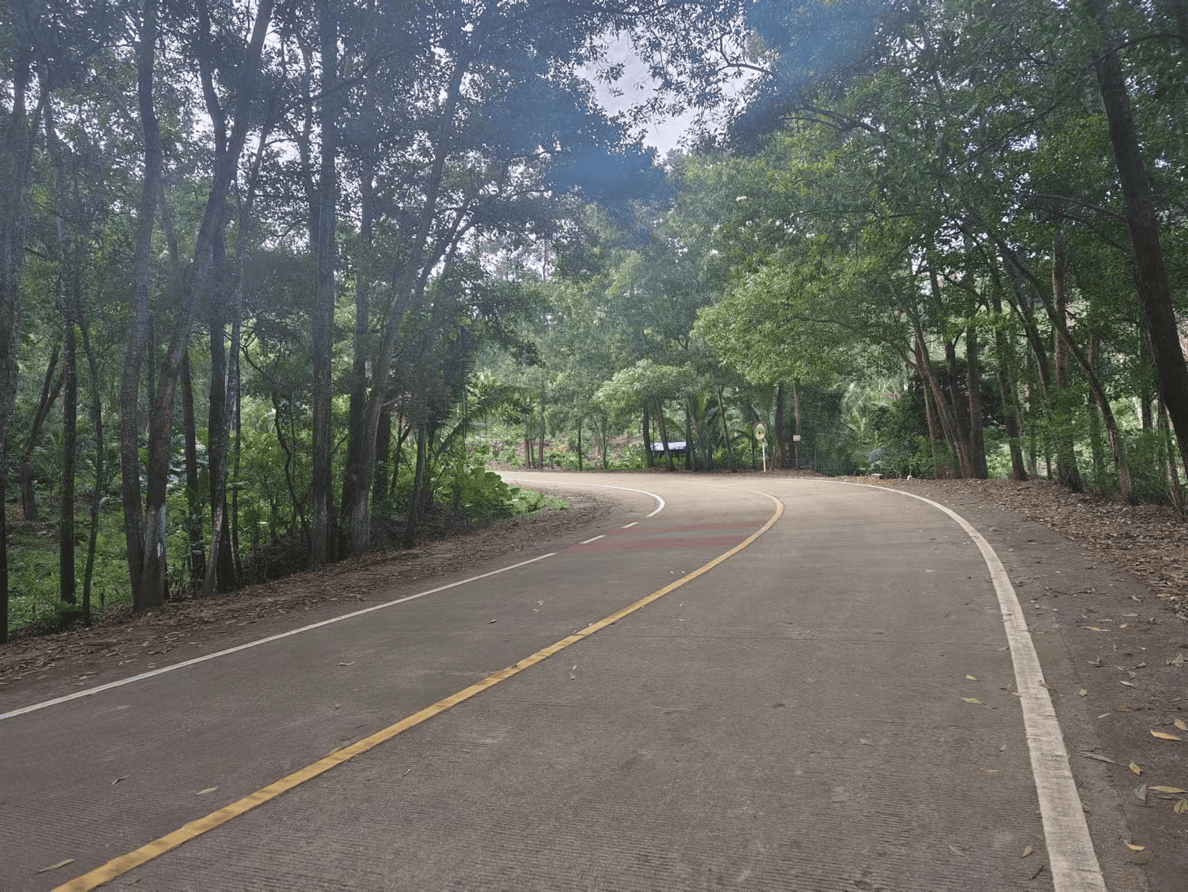 2024-01-21T16:05:00.webp 2024-01-21T16:05:00.webp