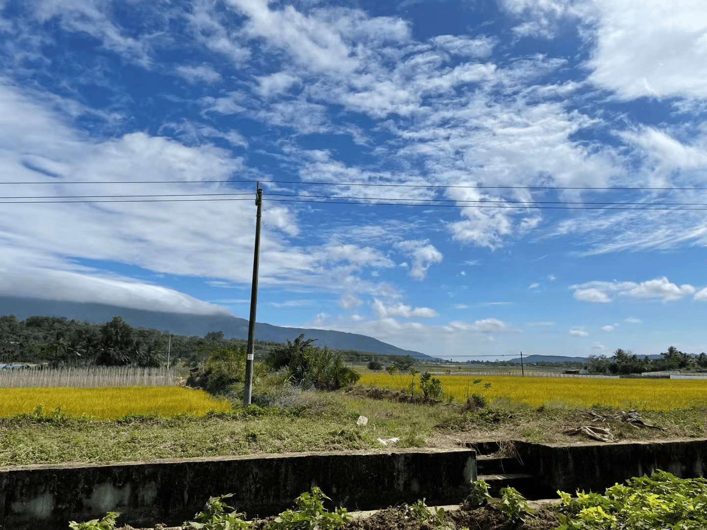 2024-01-21T16:11:46.webp 2024-01-21T16:11:46.webp