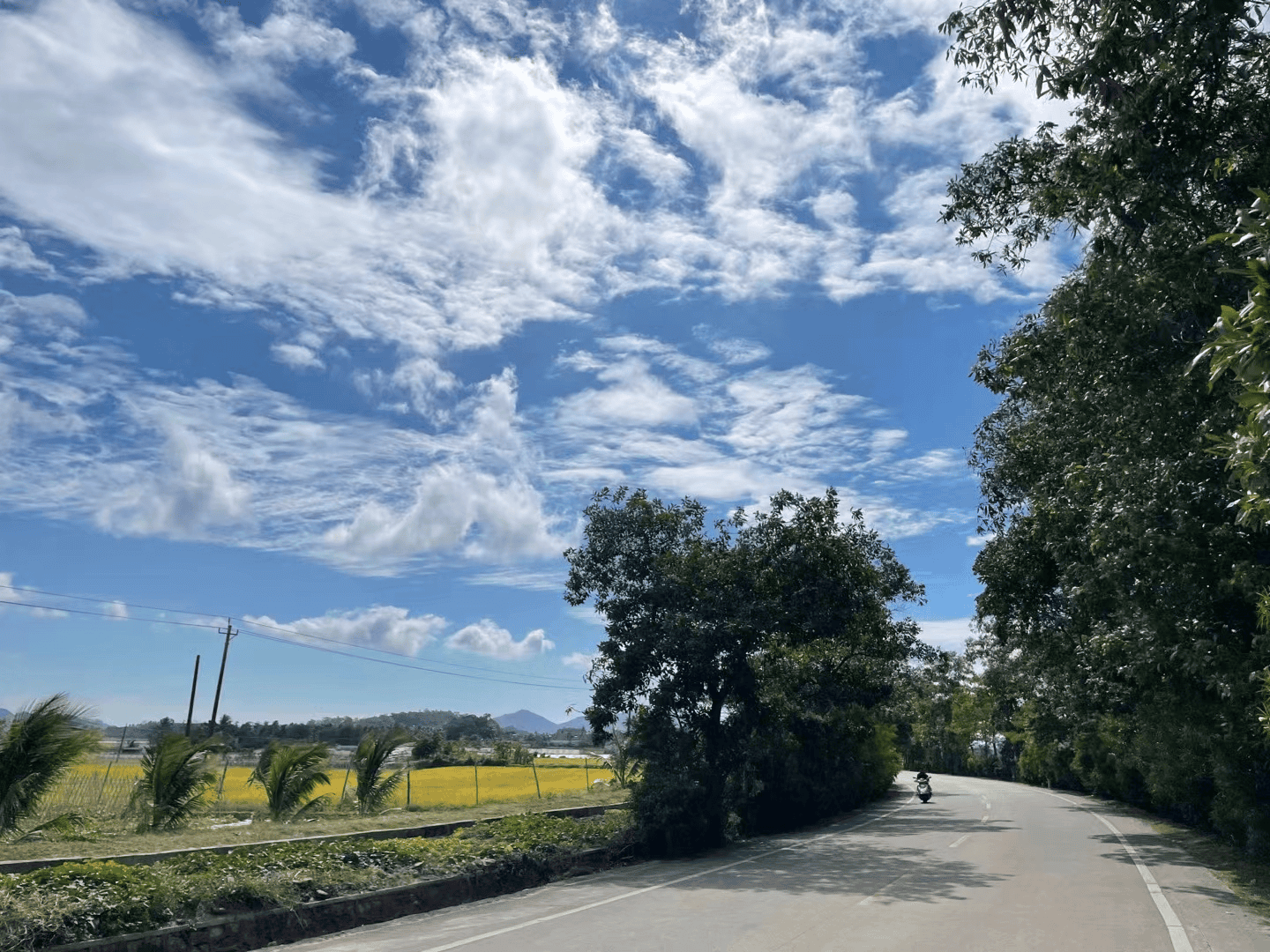 2024-01-21T16:11:30.webp 2024-01-21T16:11:30.webp