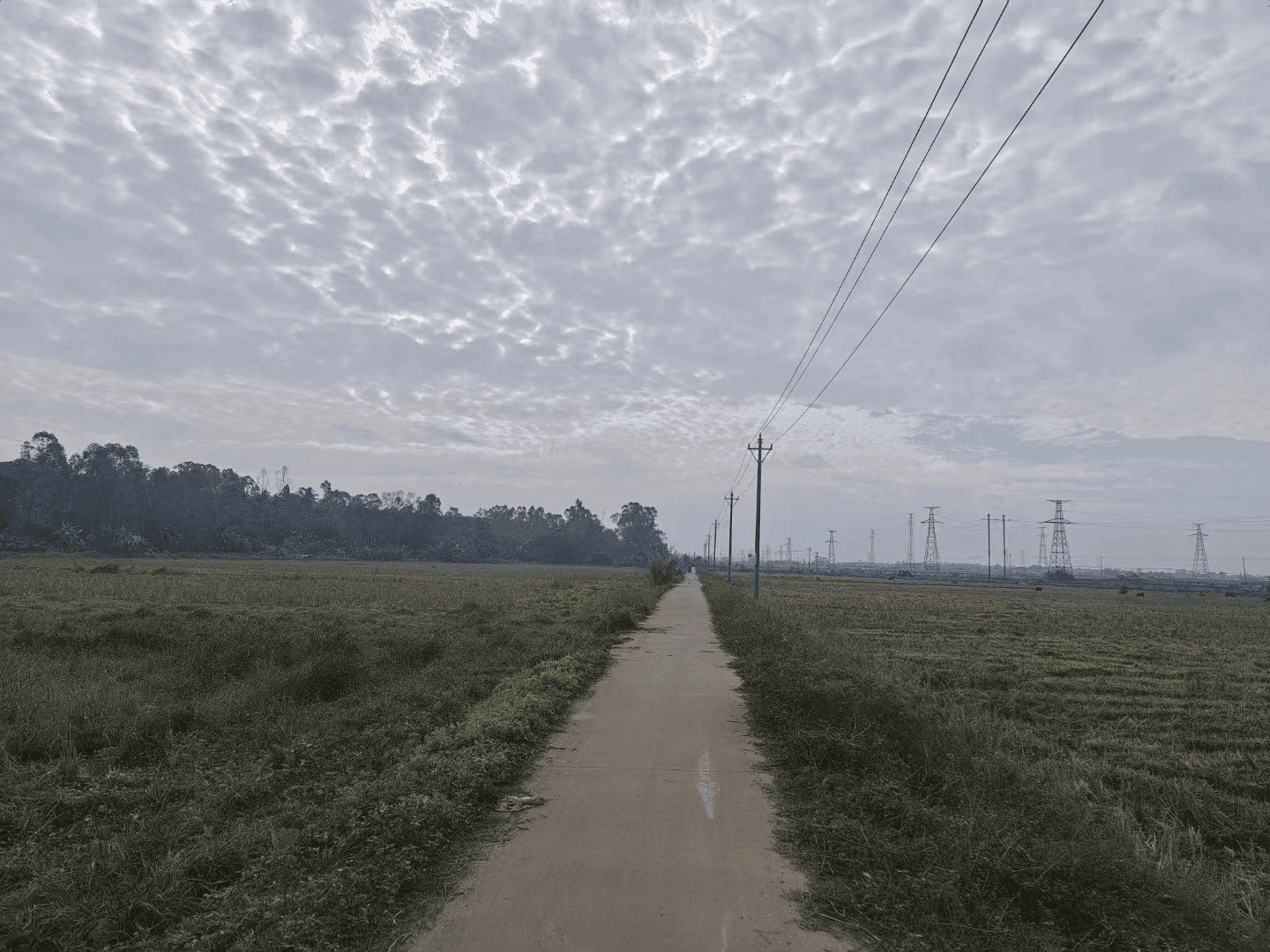 2024-01-21T16:28:44.webp 2024-01-21T16:28:44.webp