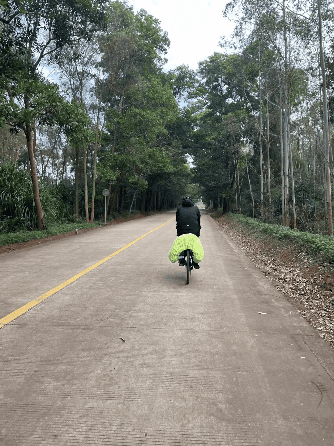 2024-01-21T16:29:07.webp 2024-01-21T16:29:07.webp