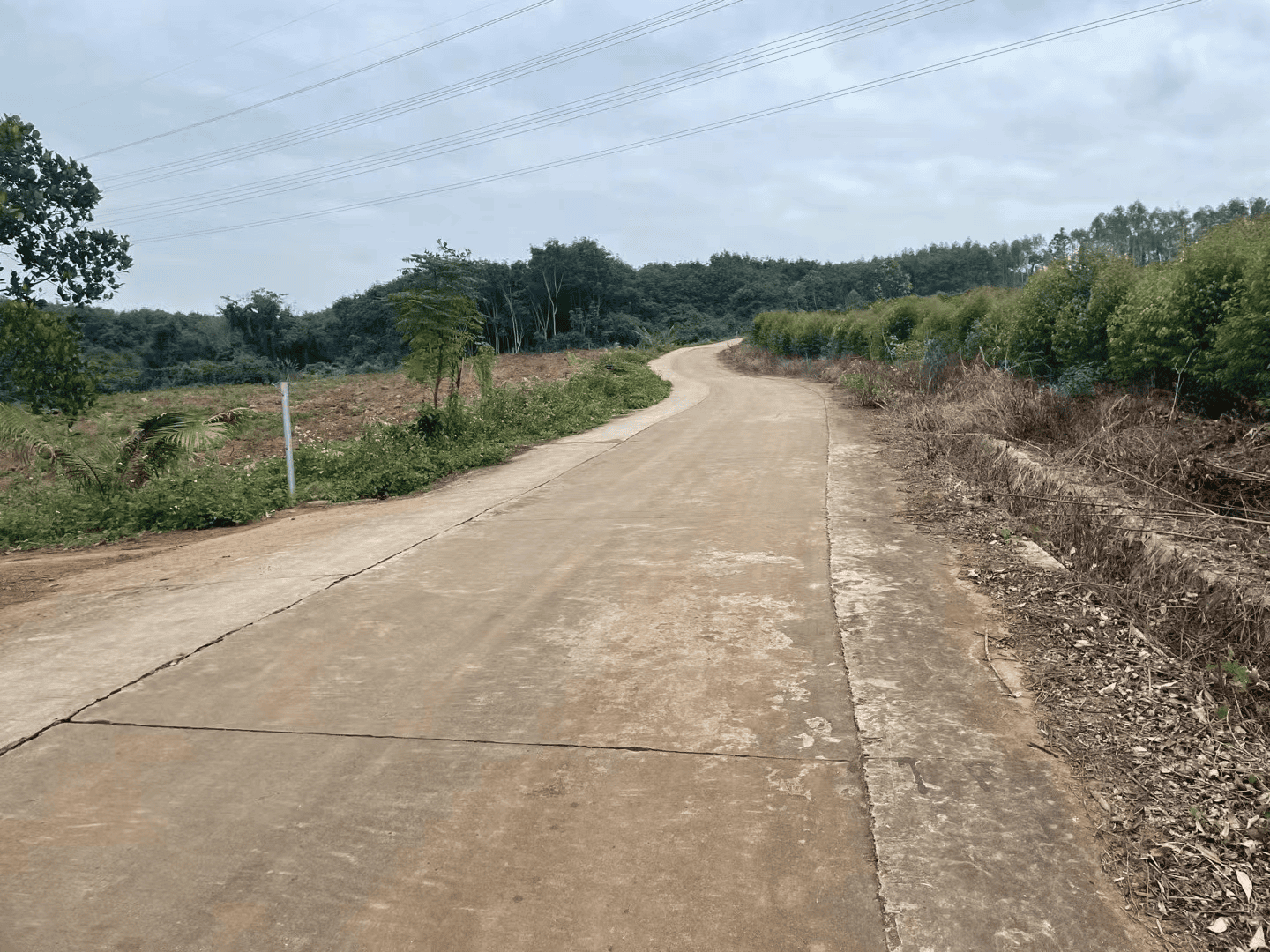 2024-01-21T16:27:20.webp 2024-01-21T16:27:20.webp