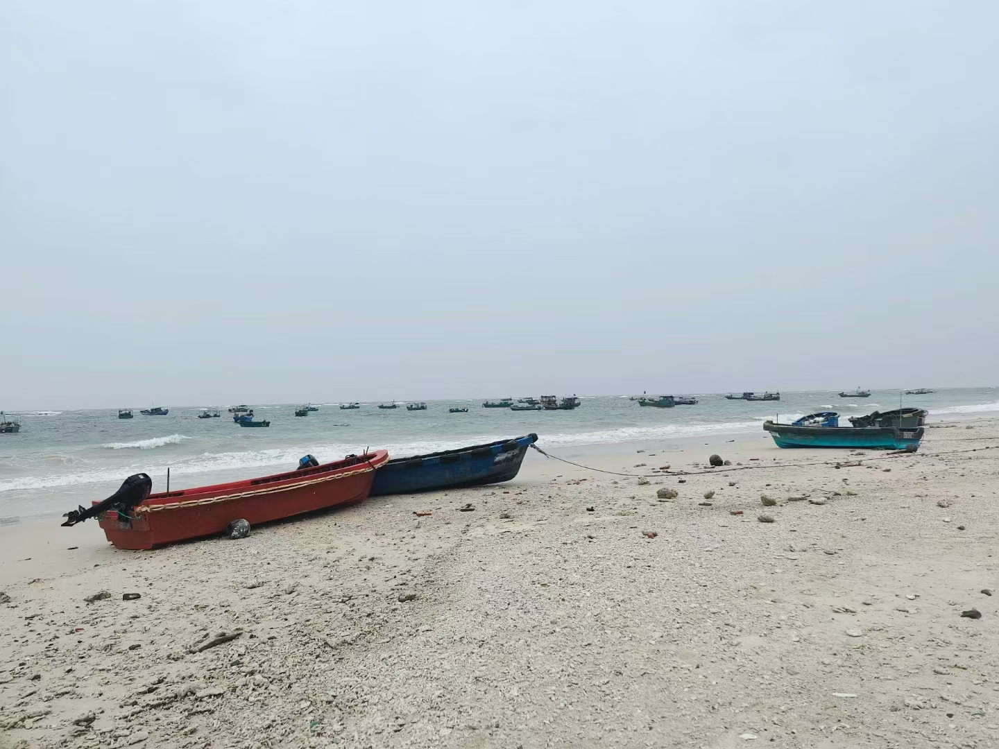 微信图片_20250209182144.webp 微信图片_20250209182144.webp