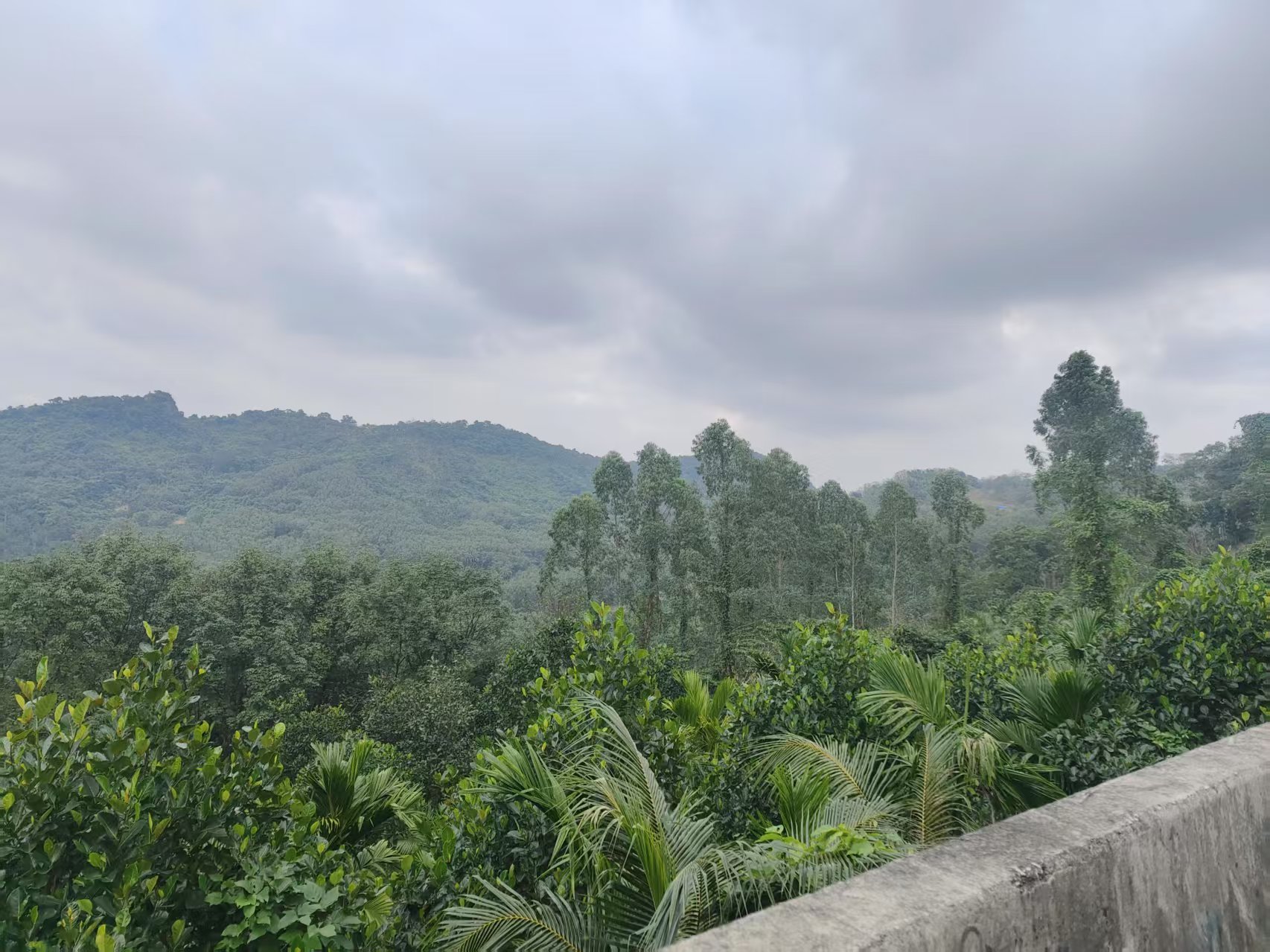 微信图片_202502091724221.webp 微信图片_202502091724221.webp