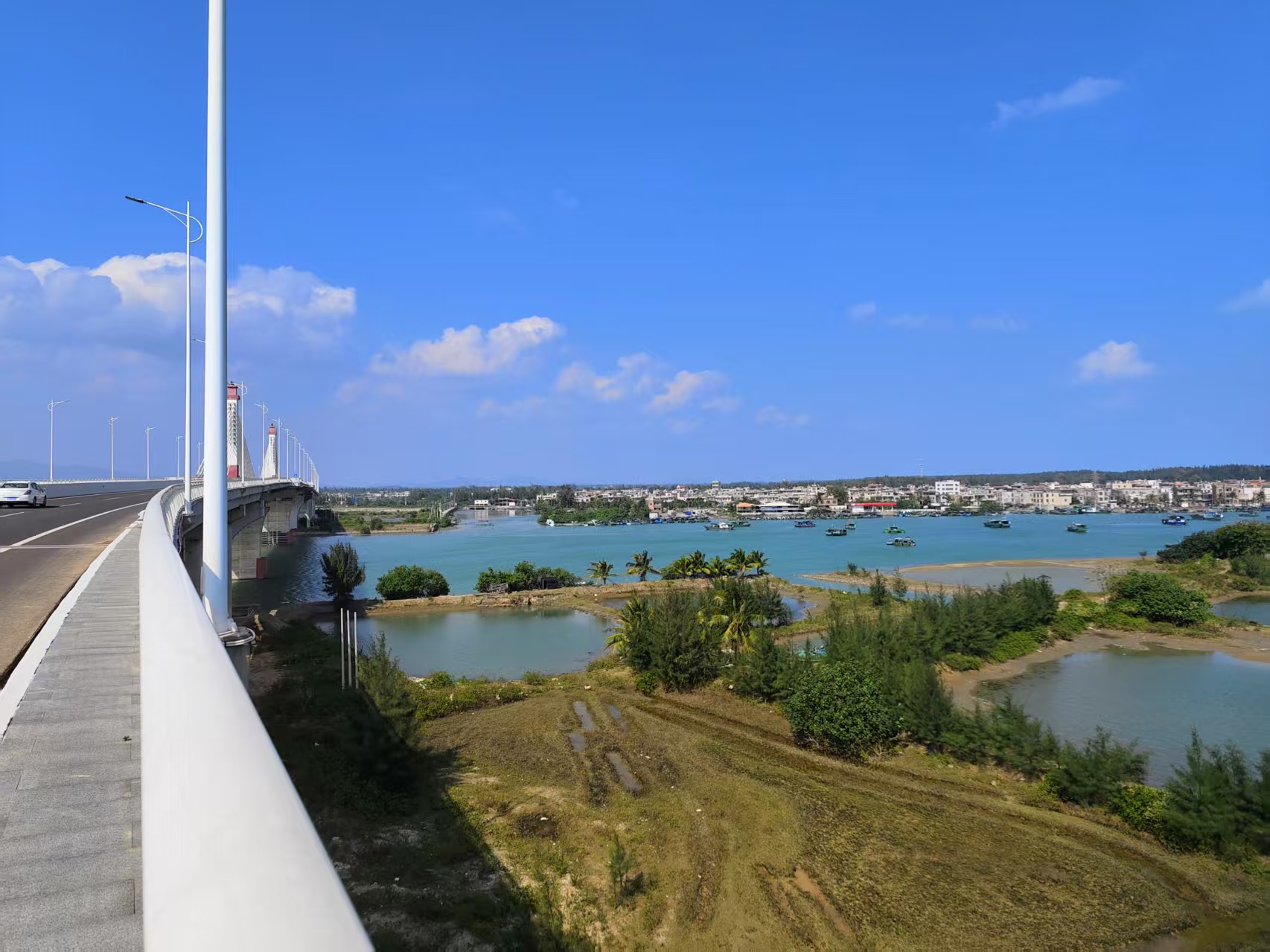 微信图片_202502091724261.webp 微信图片_202502091724261.webp